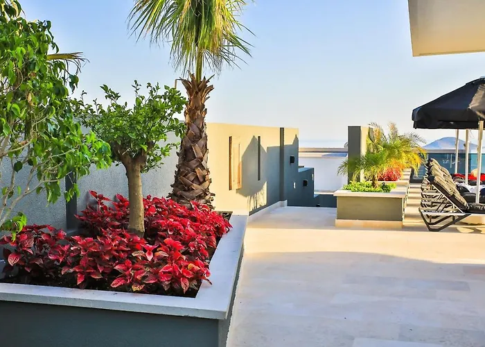 Dream Kalamar - Kalkan * Каш